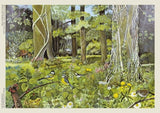 Hilary Jones: Behind the Squires, Devon 1000 Piece Jigsaw Puzzle